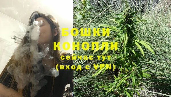 прущие крисы Аркадак
