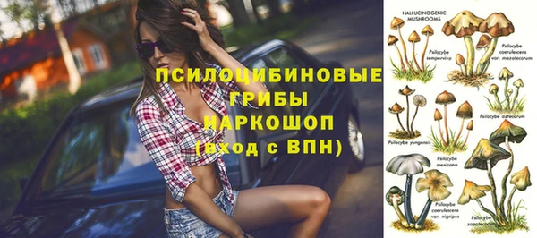 прущие крисы Аркадак