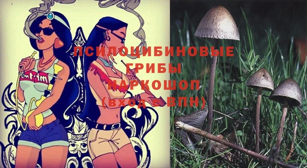 прущие крисы Аркадак