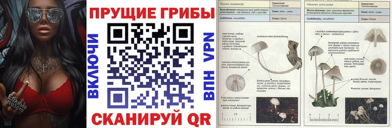 Псилоцибиновые грибы прущие грибы  Купить где  Туран 